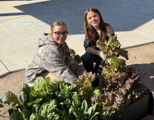 Blue Zone Scottsdale Schools